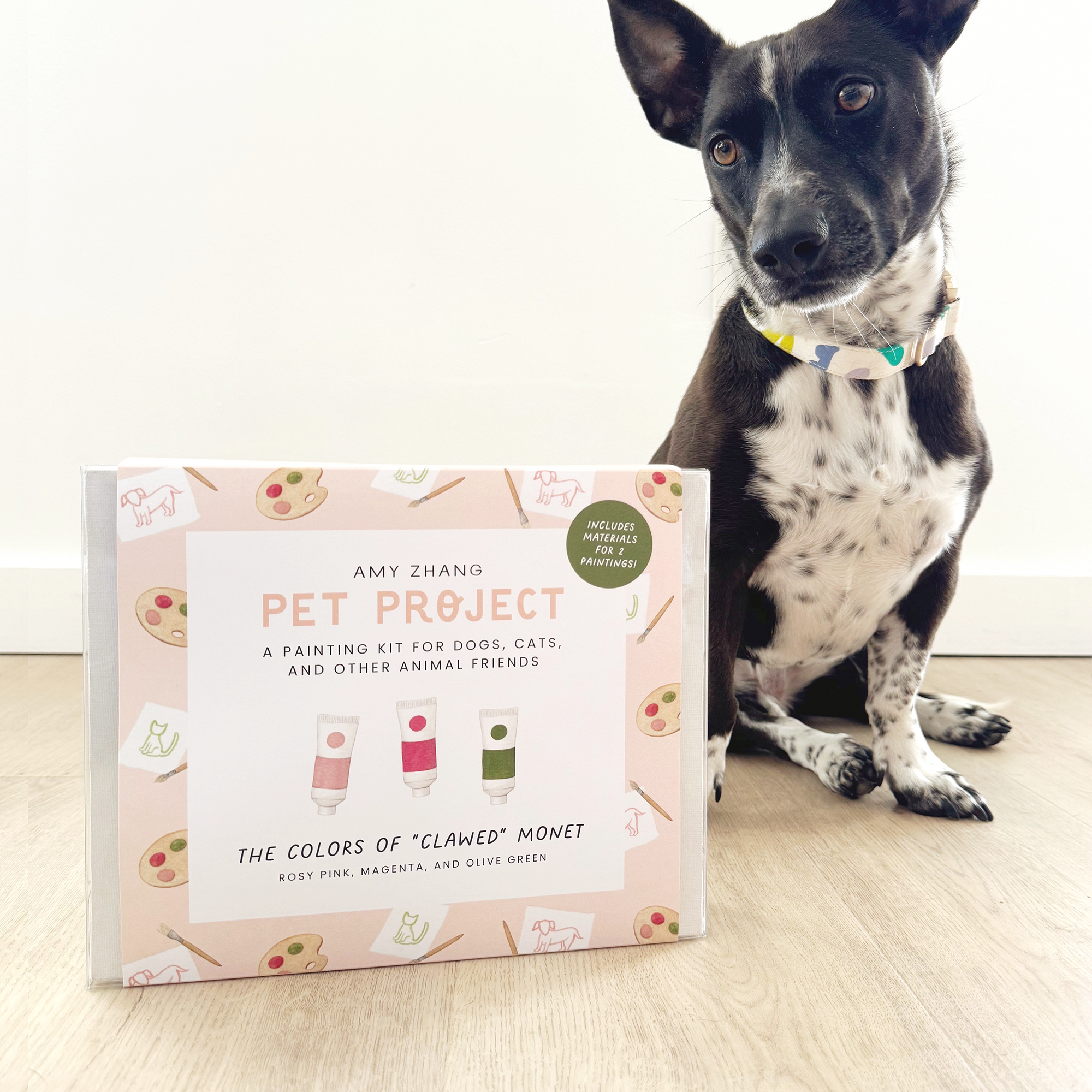 Pet Project — Claude Monet Inspired Pet Activity Kit