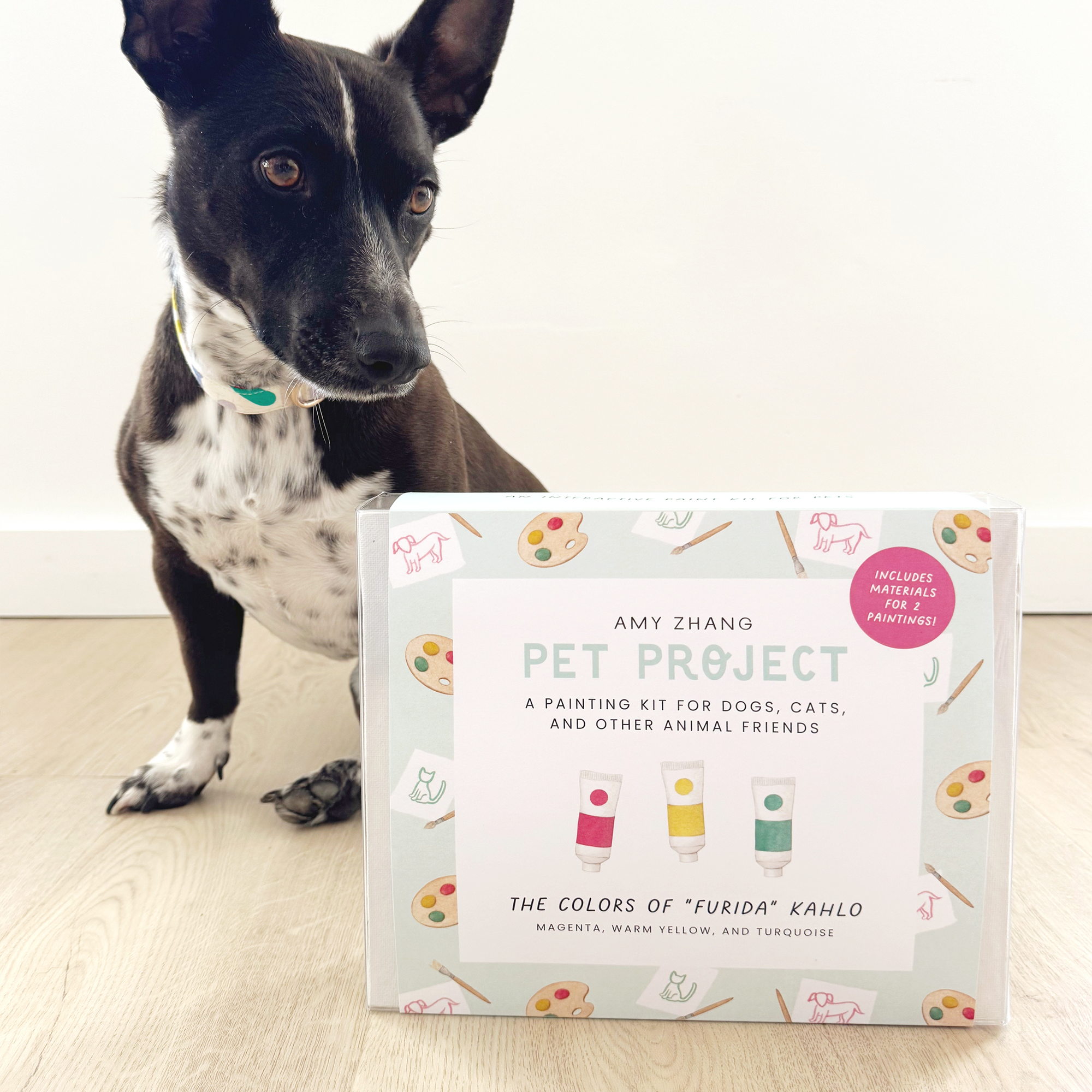 Pet Project — Frida Kahlo Inspired Pet Activity Kit