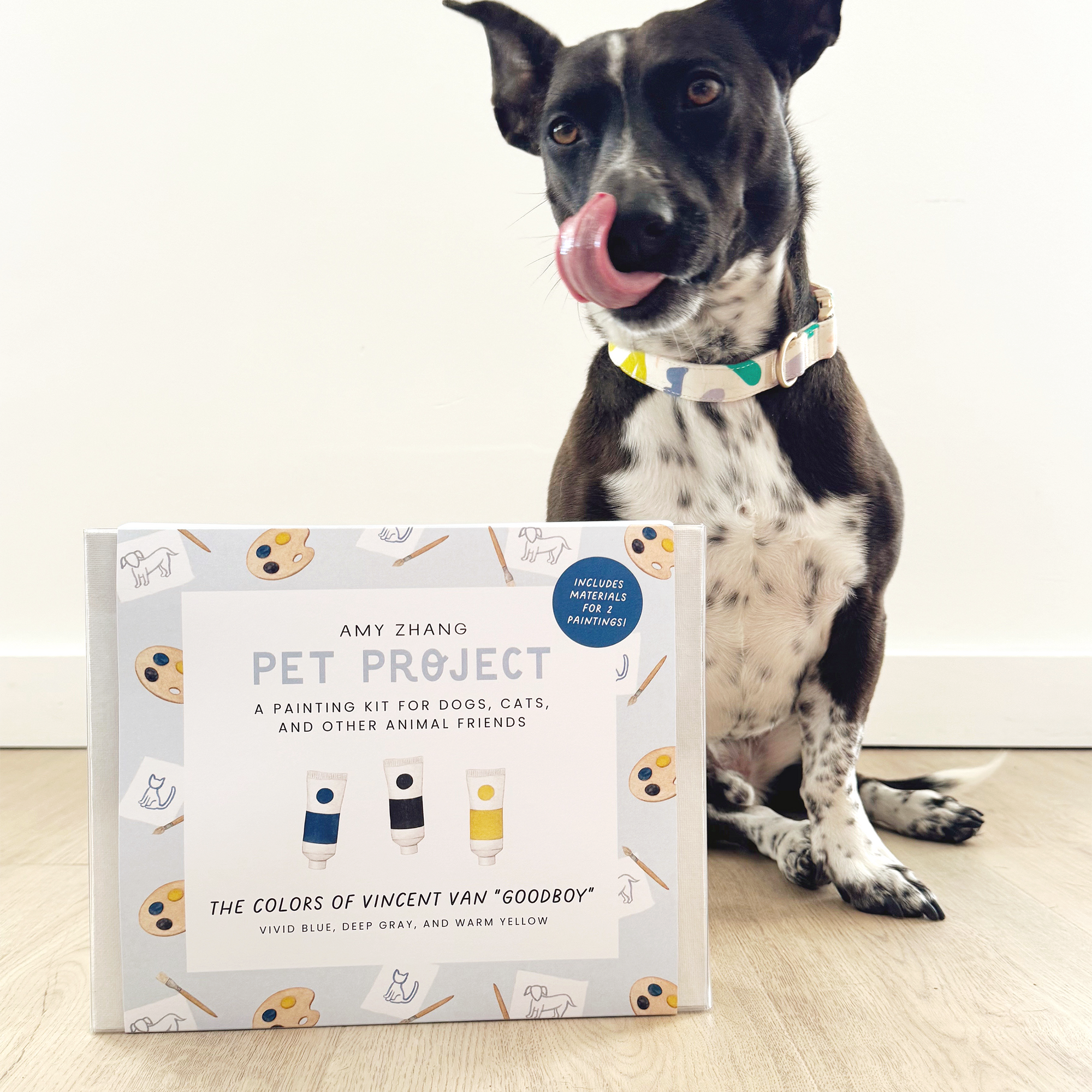 Pet Project — Vincent van Gogh Inspired Pet Activity Kit