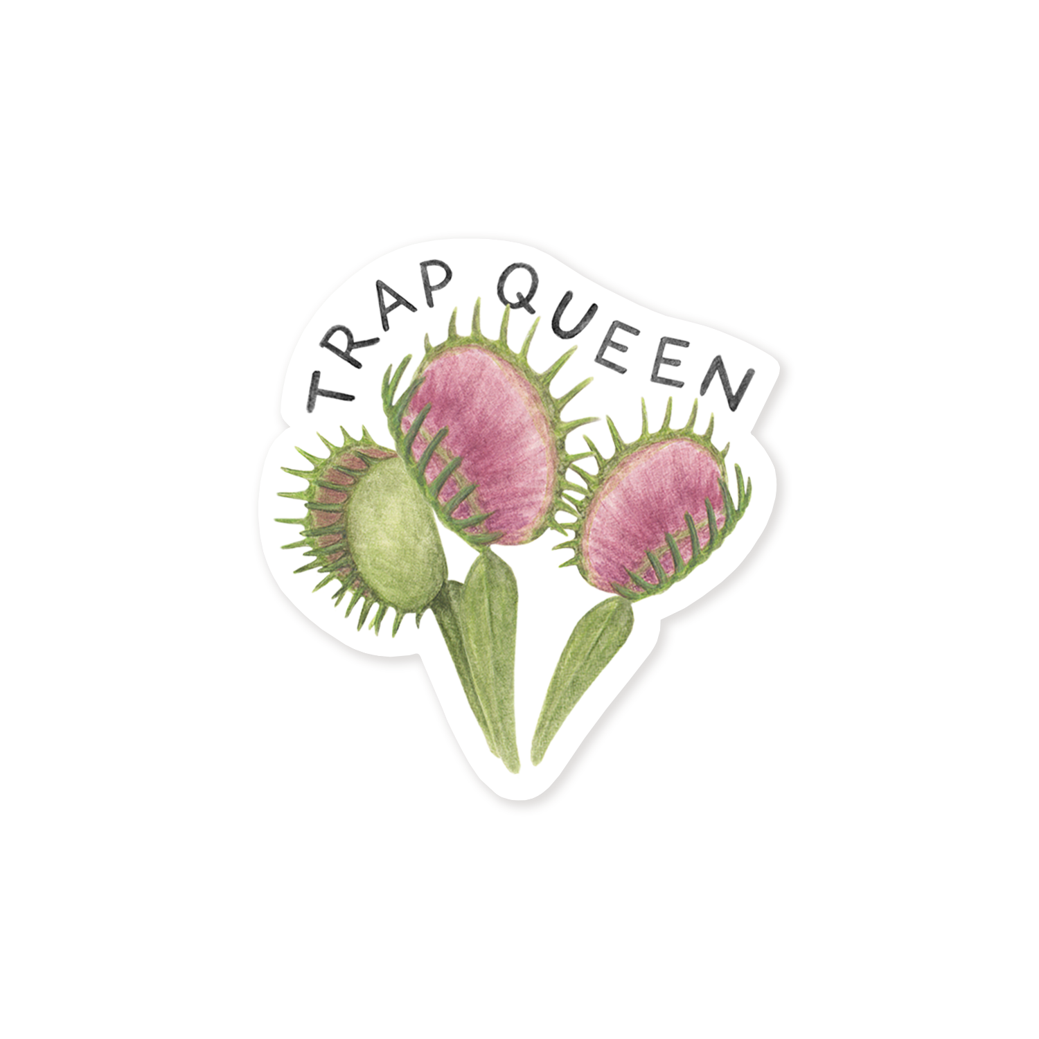 Venus Fly Trap Queen Plant Sticker