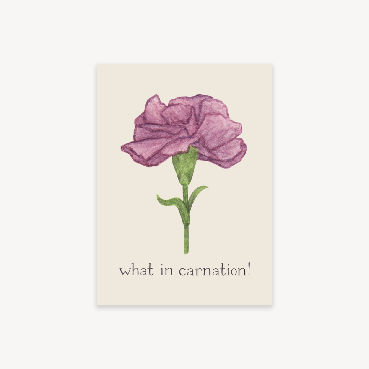 What In Carnation Flower Power Sticker