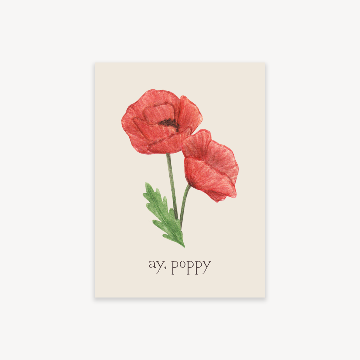 Ay, Poppy Flower Power Sticker