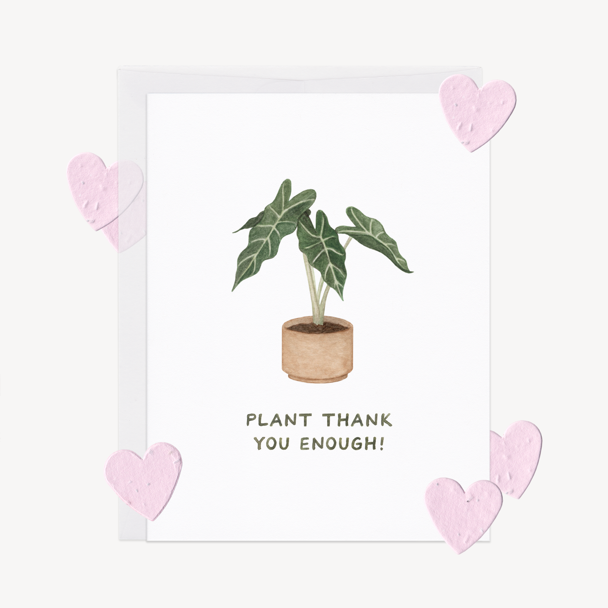 Plant Thank you Card w/ Plantable Confetti